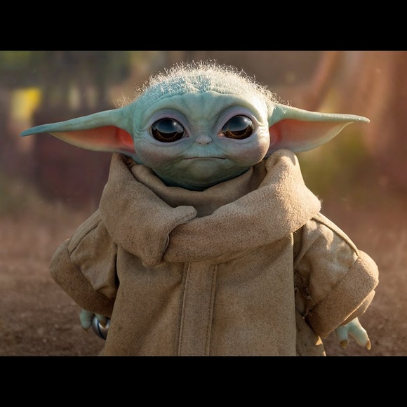 Meet your Posher, Kyle - Picture 1 of 1